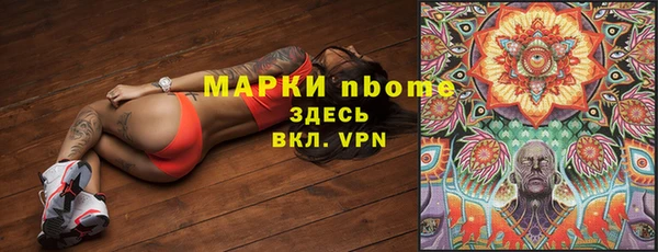 сатива Липки