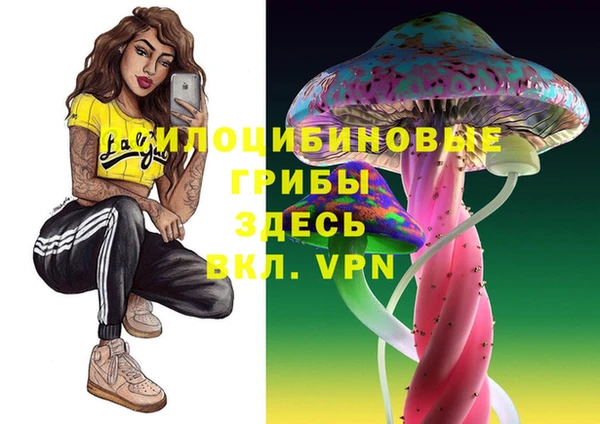 сатива Липки