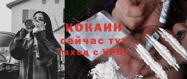 сатива Липки
