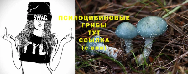 винт Лиски