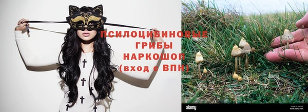сатива Липки
