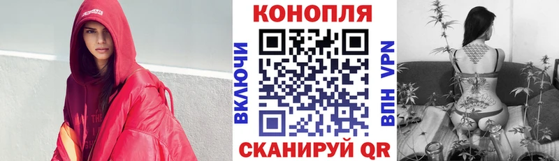 Шишки марихуана планчик  купить наркоту  Ростов-на-Дону 